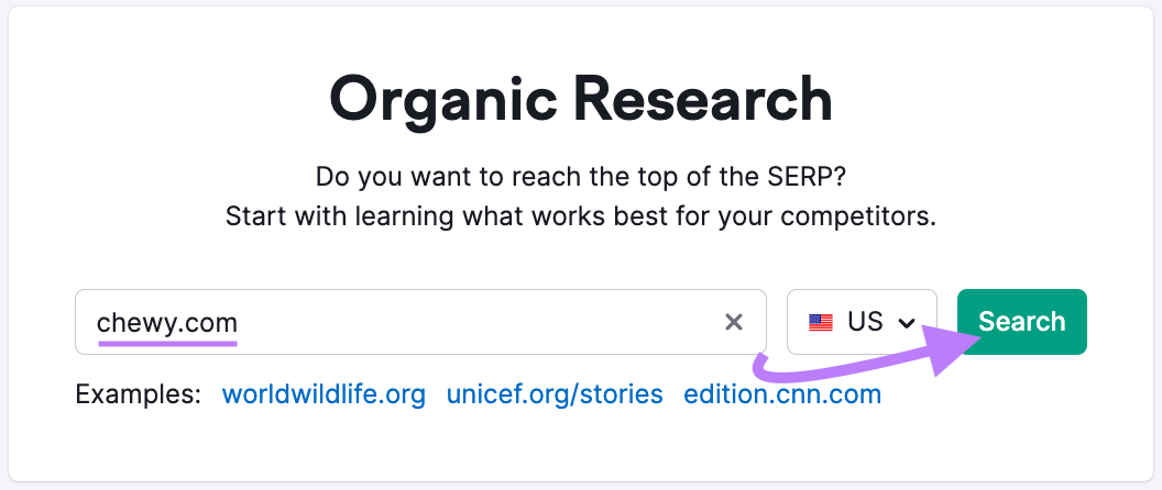 "chewy.com" entered into the Organic Rankings tool search bar