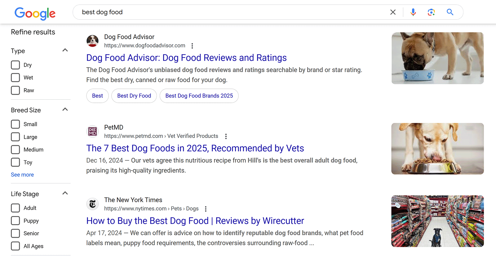 Google search results for 'best dog food'